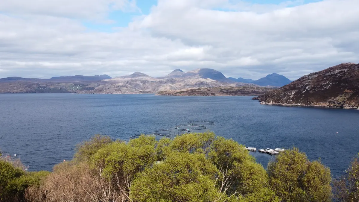 How to Wild Swim Safely in a Scottish Loch: A Beginner's Checklist